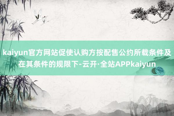 kaiyun官方网站促使认购方按配售公约所载条件及在其条件的规限下-云开·全站APPkaiyun
