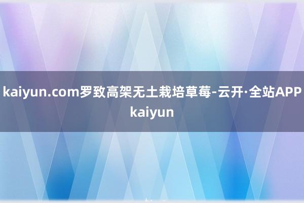 kaiyun.com罗致高架无土栽培草莓-云开·全站APPkaiyun