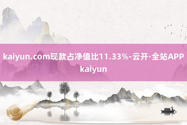 kaiyun.com现款占净值比11.33%-云开·全站APPkaiyun