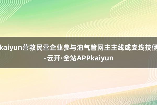 kaiyun营救民营企业参与油气管网主主线或支线技俩-云开·全站APPkaiyun