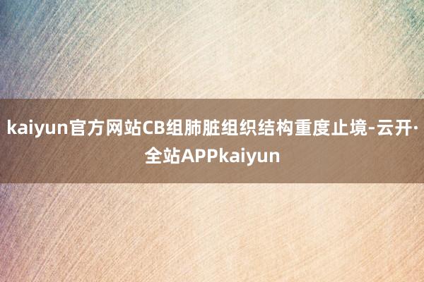 kaiyun官方网站CB组肺脏组织结构重度止境-云开·全站APPkaiyun