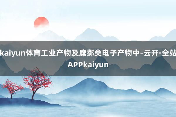 kaiyun体育工业产物及糜掷类电子产物中-云开·全站APPkaiyun