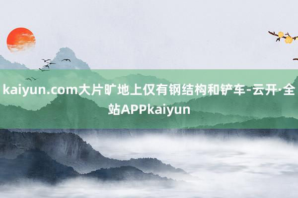 kaiyun.com大片旷地上仅有钢结构和铲车-云开·全站APPkaiyun
