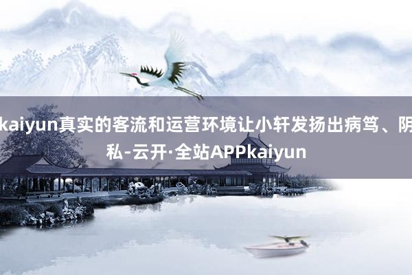 kaiyun真实的客流和运营环境让小轩发扬出病笃、阴私-云开·全站APPkaiyun